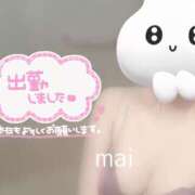 ヒメ日記 2025/04/06 20:07 投稿 まい AROMA LUXE PLATINUM 宮崎