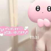 ヒメ日記 2025/04/12 17:47 投稿 まい AROMA LUXE PLATINUM 宮崎