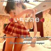 ヒメ日記 2025/01/15 15:13 投稿 ころん 櫻女学院