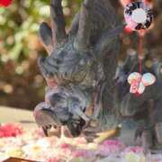 ヒメ日記 2025/02/26 19:32 投稿 ころん 櫻女学院