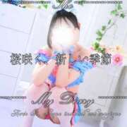 ヒメ日記 2025/04/05 13:03 投稿 ころん 櫻女学院