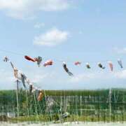 ヒメ日記 2025/05/05 12:56 投稿 ころん 櫻女学院