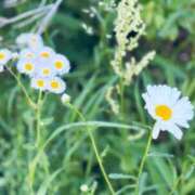 ヒメ日記 2025/05/17 16:01 投稿 ころん 櫻女学院