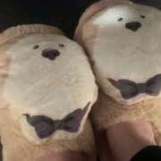 ヒメ日記 2025/10/14 23:41 投稿 ころん 櫻女学院