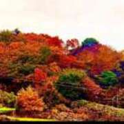 ヒメ日記 2025/11/26 15:45 投稿 ころん 櫻女学院