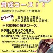 ヒメ日記 2025/11/30 15:59 投稿 ころん 櫻女学院