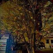 ヒメ日記 2025/12/06 13:20 投稿 ころん 櫻女学院