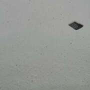 ヒメ日記 2026/02/08 09:02 投稿 ころん 櫻女学院