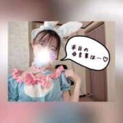 ヒメ日記 2026/04/03 09:00 投稿 ころん 櫻女学院