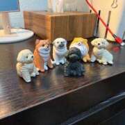 ヒメ日記 2026/04/19 13:54 投稿 ころん 櫻女学院