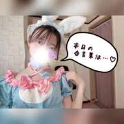 ヒメ日記 2026/04/26 09:01 投稿 ころん 櫻女学院