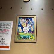 ヒメ日記 2026/07/27 22:16 投稿 ころん 櫻女学院