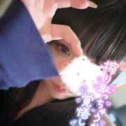 ヒメ日記 2025/03/15 13:12 投稿 せな 夢の国デリランド