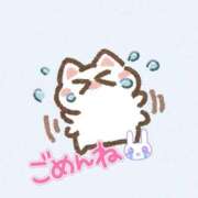 ヒメ日記 2025/03/16 21:56 投稿 せな 夢の国デリランド