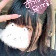 ヒメ日記 2025/08/19 12:51 投稿 せな 夢の国デリランド