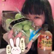 ヒメ日記 2025/10/18 22:03 投稿 せな 夢の国デリランド