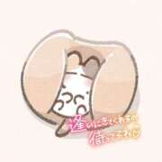 ヒメ日記 2025/11/19 12:17 投稿 せな 夢の国デリランド