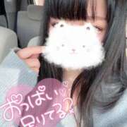 ヒメ日記 2025/11/23 12:56 投稿 せな 夢の国デリランド