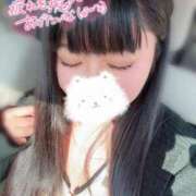 せな まぶし… 夢の国デリランド