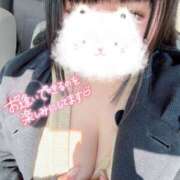 ヒメ日記 2026/01/18 11:50 投稿 せな 夢の国デリランド