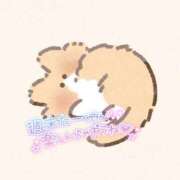 ヒメ日記 2026/01/25 22:35 投稿 せな 夢の国デリランド