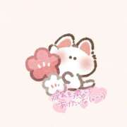 ヒメ日記 2026/03/17 17:50 投稿 せな 夢の国デリランド