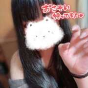 ヒメ日記 2026/04/12 11:52 投稿 せな 夢の国デリランド