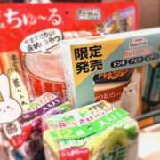 ヒメ日記 2026/09/12 21:17 投稿 せな 夢の国デリランド