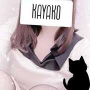 ヒメ日記 2024/12/21 09:50 投稿 かやこ 横浜人妻花壇本店