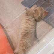 ヒメ日記 2024/12/31 11:37 投稿 かやこ 横浜人妻花壇本店