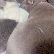 ヒメ日記 2024/12/31 21:02 投稿 かやこ 横浜人妻花壇本店