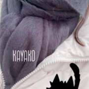 ヒメ日記 2025/01/03 09:14 投稿 かやこ 横浜人妻花壇本店