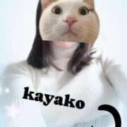 ヒメ日記 2025/01/16 17:10 投稿 かやこ 横浜人妻花壇本店