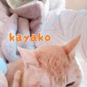 ヒメ日記 2025/02/04 09:28 投稿 かやこ 横浜人妻花壇本店