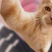 ヒメ日記 2025/03/07 11:19 投稿 かやこ 横浜人妻花壇本店