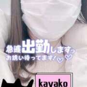 ヒメ日記 2025/03/11 14:12 投稿 かやこ 横浜人妻花壇本店