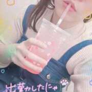 ヒメ日記 2025/03/11 14:57 投稿 かやこ 横浜人妻花壇本店