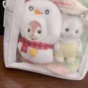 ヒメ日記 2025/03/27 12:55 投稿 かやこ 横浜人妻花壇本店