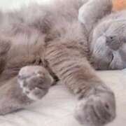 ヒメ日記 2025/03/28 11:50 投稿 かやこ 横浜人妻花壇本店