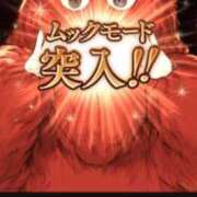 ヒメ日記 2025/03/30 11:43 投稿 かやこ 横浜人妻花壇本店