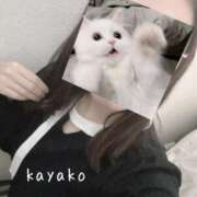 ヒメ日記 2025/04/02 11:29 投稿 かやこ 横浜人妻花壇本店