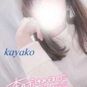 ヒメ日記 2025/05/06 20:34 投稿 かやこ 横浜人妻花壇本店