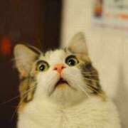 ヒメ日記 2025/05/13 08:00 投稿 かやこ 横浜人妻花壇本店