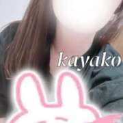 ヒメ日記 2025/06/07 07:30 投稿 かやこ 横浜人妻花壇本店