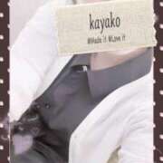 ヒメ日記 2025/06/12 11:26 投稿 かやこ 横浜人妻花壇本店