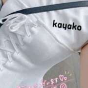 ヒメ日記 2025/07/15 09:51 投稿 かやこ 横浜人妻花壇本店