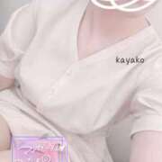 ヒメ日記 2025/07/21 10:43 投稿 かやこ 横浜人妻花壇本店