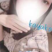 ヒメ日記 2025/07/26 13:16 投稿 かやこ 横浜人妻花壇本店