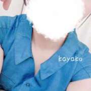 ヒメ日記 2025/07/28 14:01 投稿 かやこ 横浜人妻花壇本店