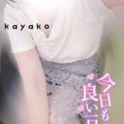 ヒメ日記 2025/07/31 10:22 投稿 かやこ 横浜人妻花壇本店